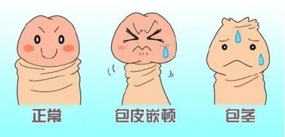 �����п�ҽԺ�ļ����棬��������ҽԺ�������п�