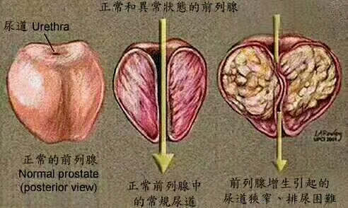 �����п�ҽԺ����Ƚ����棬��������ҽԺ�������п�