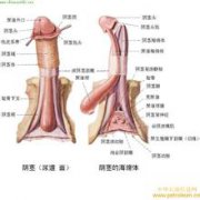 �����п�ҽԺ�ļұȽ����棬��������ҽԺ�������п�