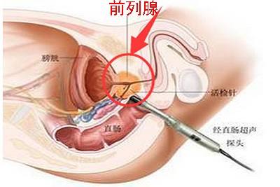 �����п�ҽԺ���Ķ�����������ҽԺ�������п�