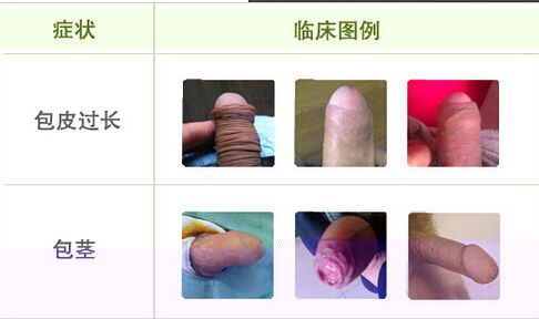 �����п�ҽԺ�ļҼң���������ҽԺ�������п�