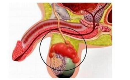 ���Ÿ��Ƥȥ�ĸ�ҽԺ���ˣ���������ҽԺ�������п�