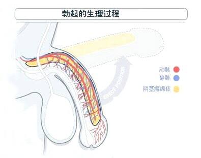 ����������������ƿ죬��������ҽԺ�������п�