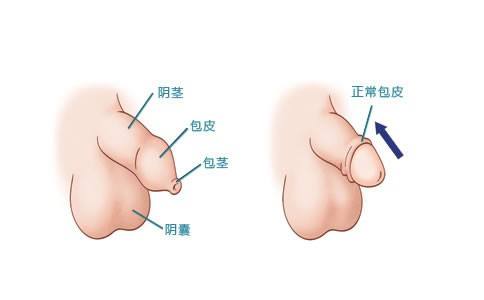 ������ֳ����ͷ���ף���������ҽԺ�������п�