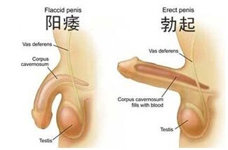 ������йҪ������ƱȽϺã���������ҽԺ�������п�