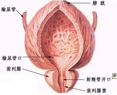 �����п�ҽԺ���ļң���������ҽԺ�������п�